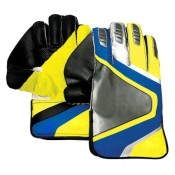 Wicket Keeping Gloves